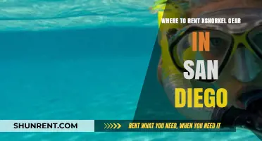 Top Spots to Rent Snorkel Gear in San Diego