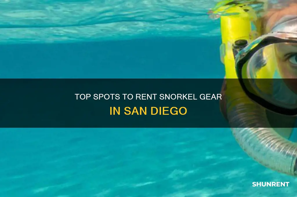 where to rent xsnorkel gear in san diego
