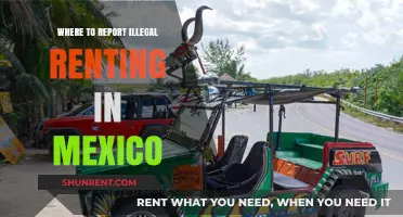 Illegal Renting in Mexico: Where to Report and Seek Help