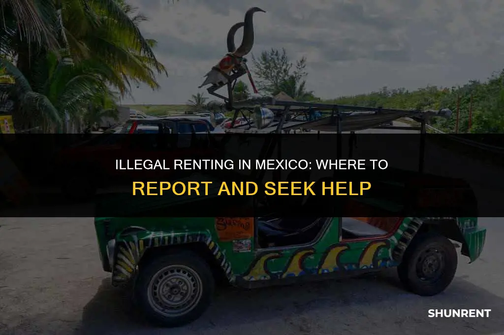where to report illegal renting in mexico