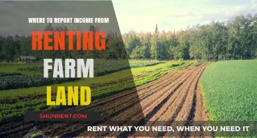 Reporting Farm Land Rental Income: A Comprehensive Guide for Landowners
