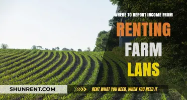 Reporting Rental Income from Farm Land: A Comprehensive Guide