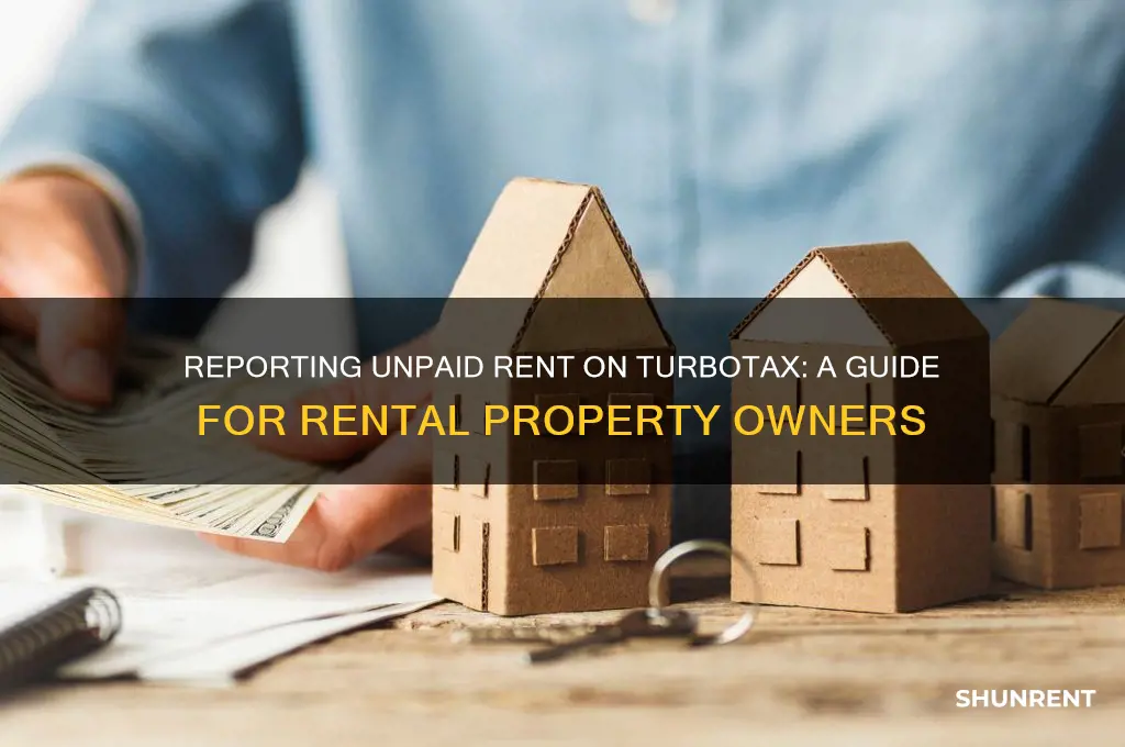 where to report on turbo tax unpaid rent on rental