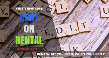 Navigating Tenant Rights: A Guide to Reporting Unpaid Rent
