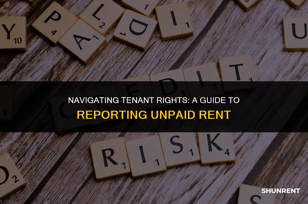 where to report unpaid rent on rental