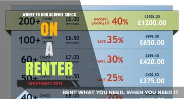 Top Platforms for Running a Credit Check on Prospective Renters
