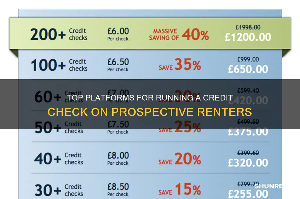 where to run acredit check on a renter
