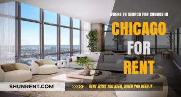 Top Neighborhoods to Find Condos for Rent in Chicago