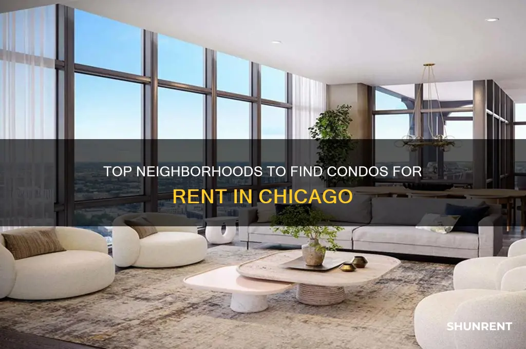 where to search for condos in chicago for rent