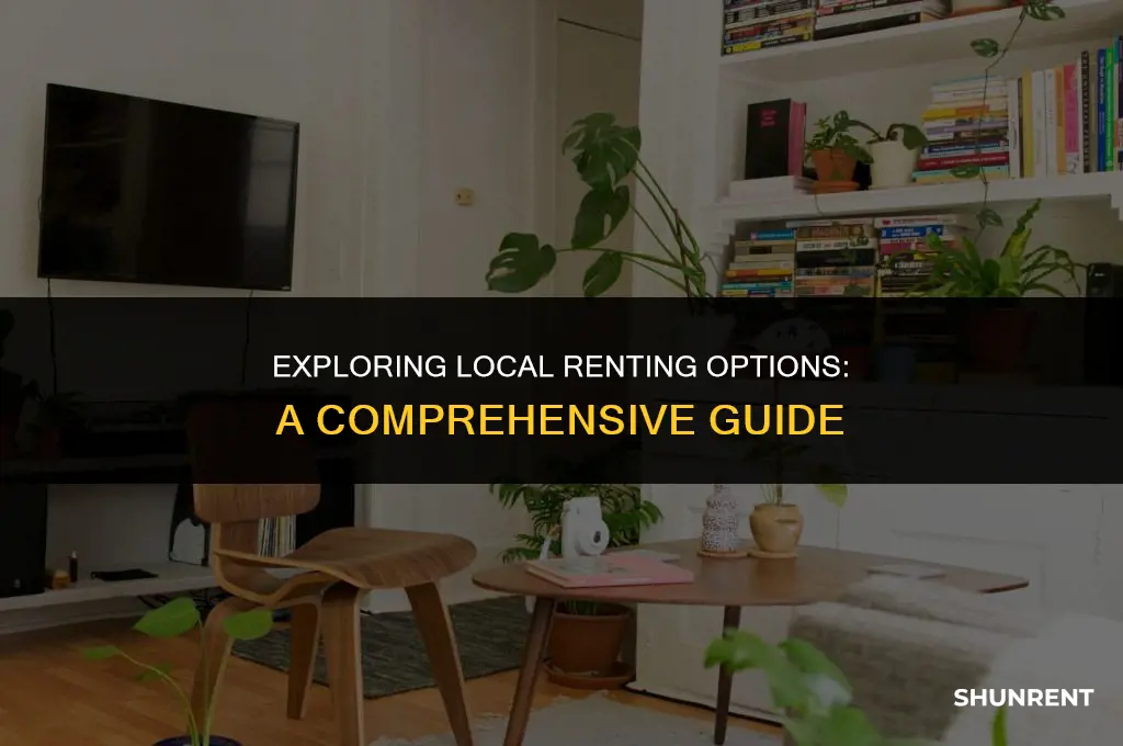 where to search for local renting options