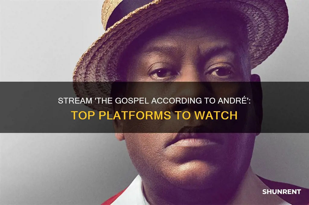 where to stream rent the gospel according to andre
