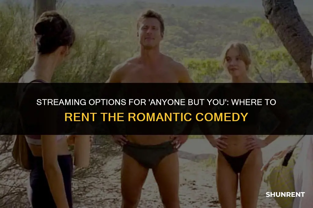 where to watch anyone but you rent