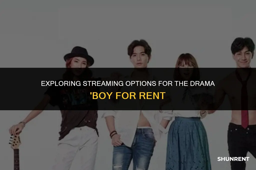 where to watch boy for rent drama