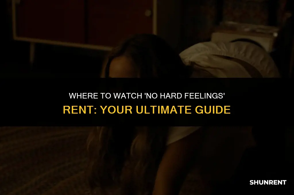 where to watch no hard feelings rent