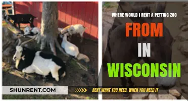 Rent a Petting Zoo in Wisconsin: Top Local Options
