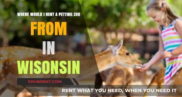 Rent a Petting Zoo in Wisconsin: Top Local Providers Guide