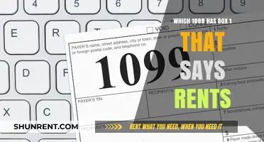 Understanding 1099 Forms: Which One Reports Rents in Box 1?