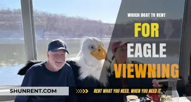 Best Boat Rentals for Eagle Watching: A Comprehensive Guide