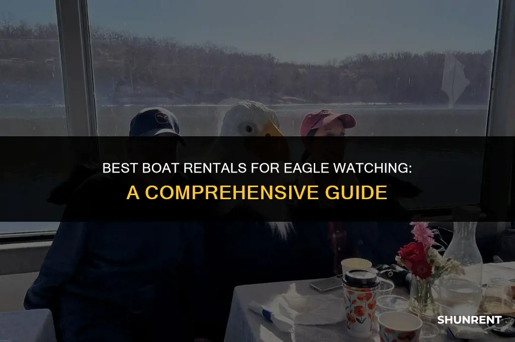 which boat to rent for eagle viewning