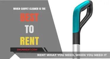 Top Rental Carpet Cleaners: Find the Perfect Match for Your Home