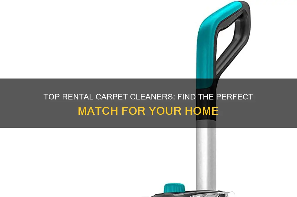 which carpet cleaner is the best to rent