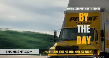 Daily Truck Rentals: A Comprehensive Guide to Top Companies