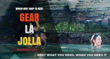 Top Dive Shops for Gear Rentals in La Jolla: Your Ultimate Guide