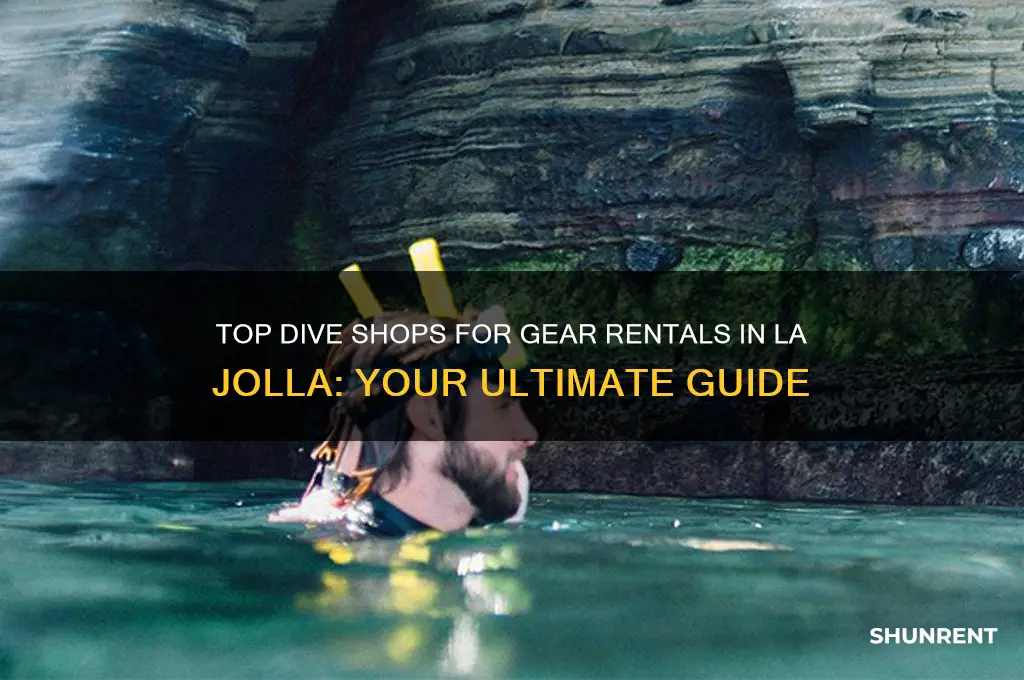 which dive shop to rent gear la jolla