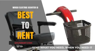 Top Picks: Electric Scooters for Rent in 2024