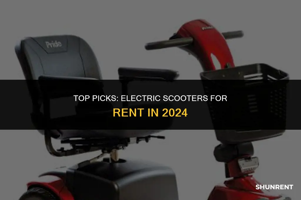 which electric scooter is best to rent