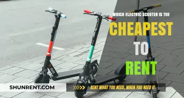Affordable Rides: Discover the Cheapest Electric Scooter Rentals Available