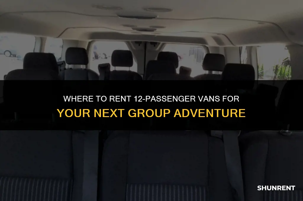 which enterprise locatios rent 12 passenger vans