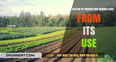 Land: The Factor of Production That Derives Rent from Its Use