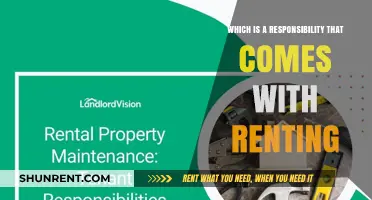 Renting Responsibilities: Key Duties Every Tenant Should Know and Follow