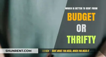 Budget vs. Thrifty: Which Car Rental Service Offers Better Value?