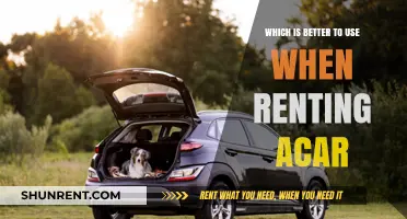 Renting a Car: Choosing the Best Option for Your Needs