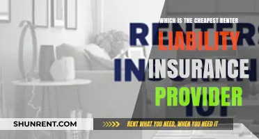 Affordable Renter Liability Insurance: Top Cheapest Providers Compared