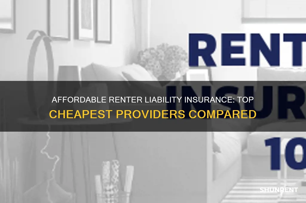 which is the cheapest renter liability insurance provider