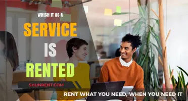 Exploring the Benefits of Renting IT Services for Your Business