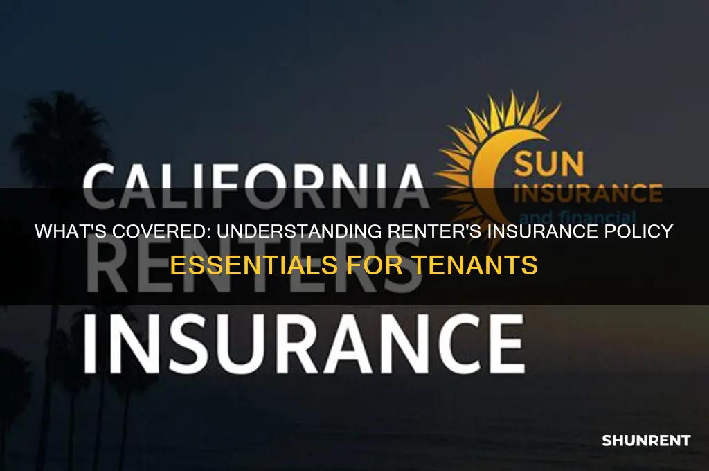 which item is covered under a typical renter