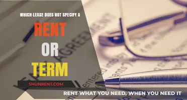Understanding the Unique Lease: No Rent or Term Specified