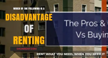 Renting: Financial Disadvantages and Lack of Equity
