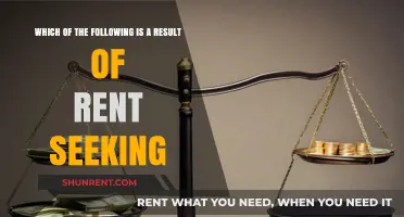 Rent Seeking's Impact: Economic Distortions and Resource Misallocation Explained