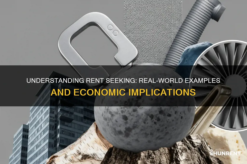 which of the following is an example of rent seeking