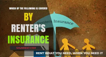 What Does Renter's Insurance Cover? Essential Protections Explained