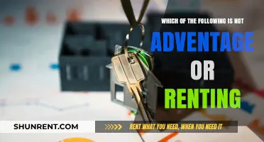 Renting's Hidden Pitfalls: What's Not an Advantage in Leasing?