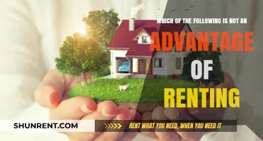 Renting: The Disadvantages of Not Owning Your Home