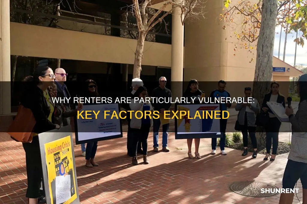 which of the following reasons explains why renter are particularly