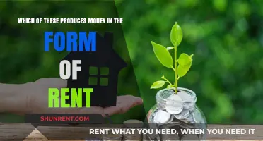Unlocking Passive Income: Which Assets Generate Rent Revenue?