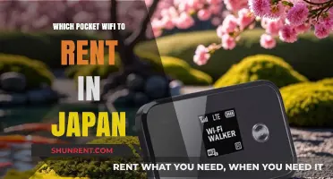 Stay Connected in Japan: The Best Pocket WiFi Rental Options